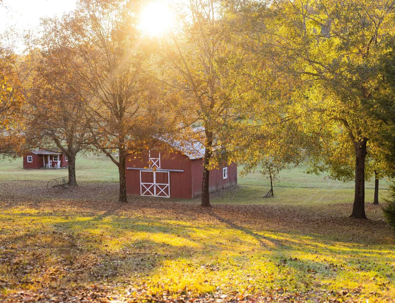 the-barn-fiddlers-green commercial plumbing in oxford al,